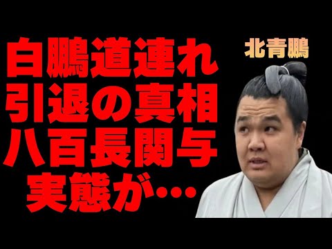 北青鵬が“暴力”だけでなく“八百長”にも関与していた…宮城野親方も道連れに引退の真相に言葉を失う…「相撲」として活躍した力士の親友が明かす幼少期の“裏の顔”に驚きを隠せない…