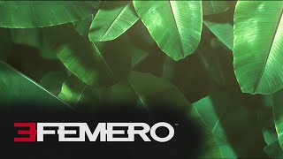 EFEMERO - House Mix December 2021 @DJ CalVee