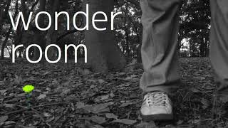 wonder room