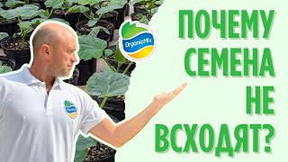 Почему семена не всходят?