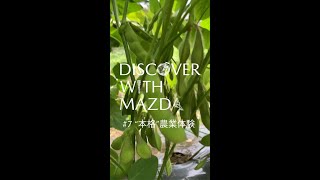 【DISCOVER with MAZDA】”本格”農業体験しませんか?