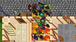 Tibia solera & wintera