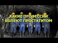 Какие профессии болеют простатитом