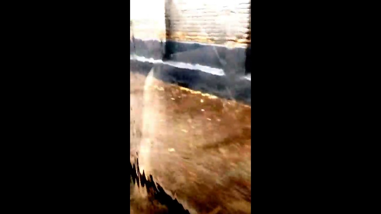Погода в москвиче