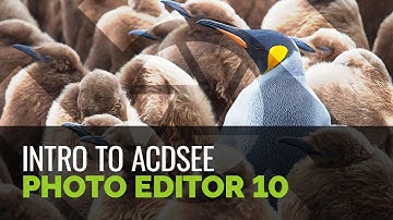 ACDSee Photo Editor 10 - Promotional Intro
