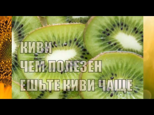 КИВИ ЧЕМ ПОЛЕЗЕН ПОЛЕЗНЫЕ СВОЙСТВА КИВИ