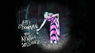 Aoife O&#39;Donovan - &quot;Drover&quot; (Bill Callahan cover)