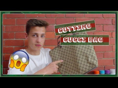 custom-gucci-dog-collar!!!-(satisfying)