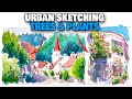 How to add trees  plants to your urban sketches
