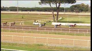 rm 20150408 01 p grifalcojet