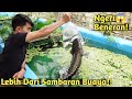 BIKIN GEMETAR! KEMBALINYA ATRAKSI TOMAN MONSTER DIKOLAM BARU RENOVASI