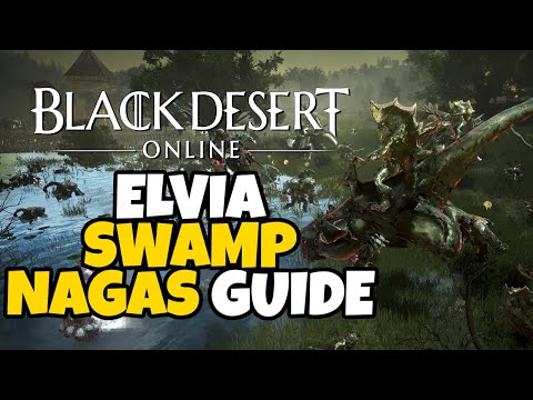 Видео: Elvia Swamp Nagas Rotation Guide | Black Desert Online