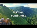 Strolling around the Siberian area | Virtual forest hike | 4k UHD