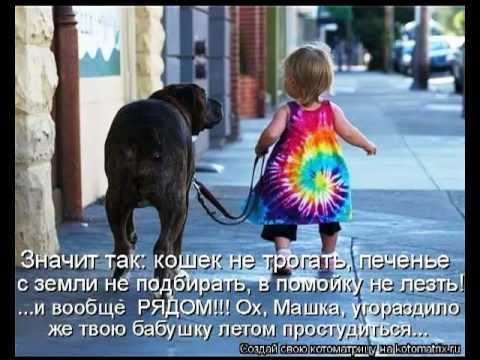приколы разные скачать