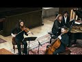 Trio fr klavier violine und violoncello cmoll op 23 nr 3 allegro