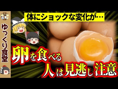 ゆっくり食堂【ゆっくり解説】