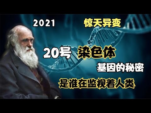 进化论的BUG，写在人类的20号染色体，基因预警着人类的走向？