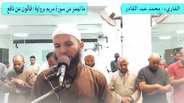ما تيسر من سورة مريم برواية  قالون عن نافع | محمد عبدالقادر | قناة الدين النصيحة |