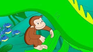 Curious George The Amazing Maze Race Kids Cartoon Kids Movies Videos For Kids