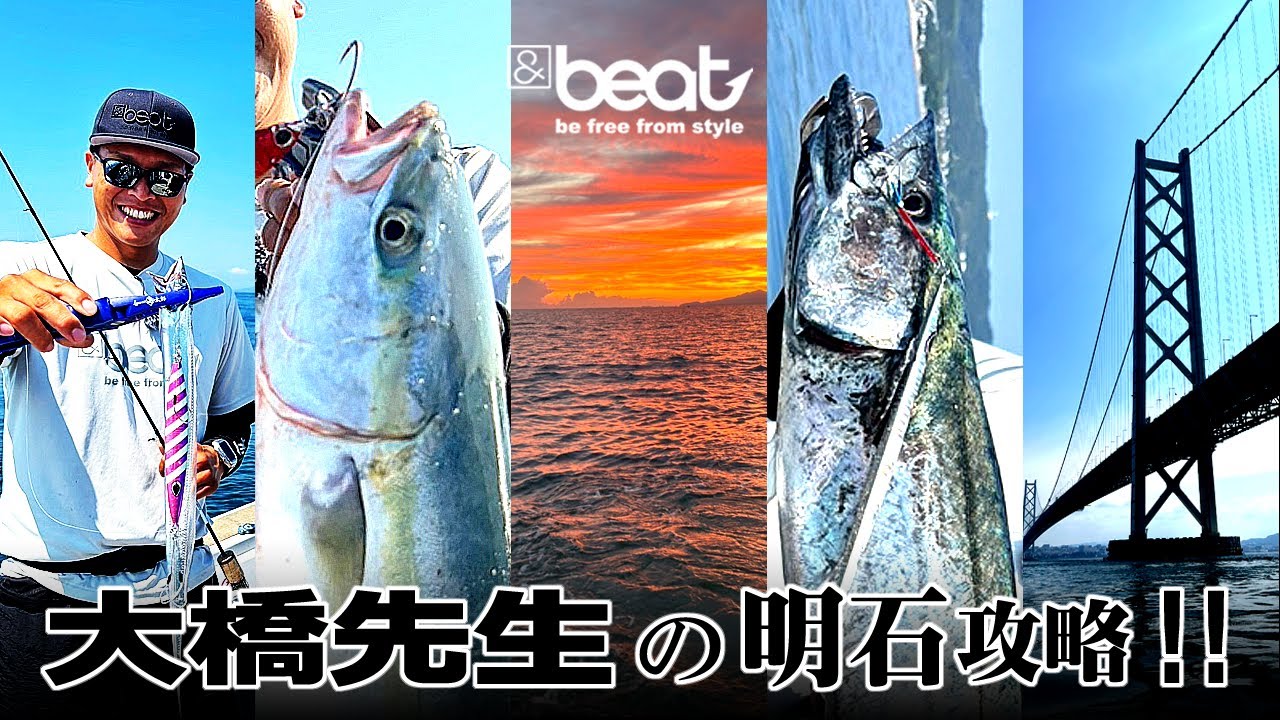 Akashi Jigging] How to catch bluefish and hairtails! Jigging