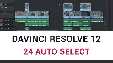 DaVinci Resolve 12 - 24 Auto Select Function