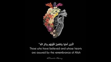 اَلَّذِيْنَ اٰمَنُوْا وَتَطْمَئِنُّ قُلُوْبُهُمْ بِذِكْرِ اللّٰهِ ۗ | للقارئ طارق محمد|سورة الرعد