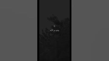 تلاوة خاشعة جميلة بصوت ماهر المعيقلي ♡  #ماهر_المعيقلي  #اكسبلور  #فولو  #فولو  #قرآن #fyp #quran