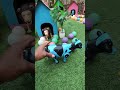 Tangkap Ayam Lucu, ayam warna warni, ayam rainbow, kelinci lucu, bebek lucu, ikan koi, Hewan Lucu