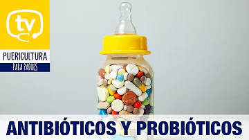 ¿Debo tomar probióticos con antibióticos?