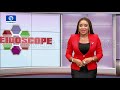 How the Special Foundation Is helping to reduce out of school children In Nigeria - Channels TV