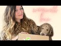 monthly subscription boxes for pets:  WagWell dog box
