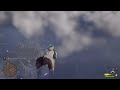 Flying Through The Clouds in Hogwarts Legacy (Glitch)