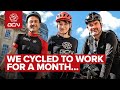 We cycled to work every day for a month  this is what happened