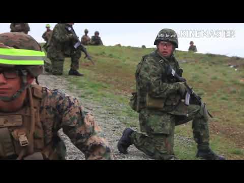 陸上自衛隊×航空自衛隊 MAD