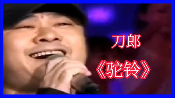 2022 刀郎《驼铃》，战友情，催人泪下。