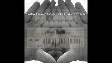 Timothy Donavan Russell - Social Music [Casio VL Tone VL-1 and/or Casio PT-30]
