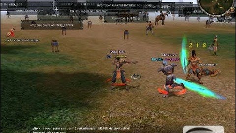 Metin2 Ninja vs Krieger