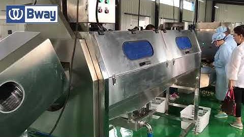 Apricot plum peach cherry destoner processing line