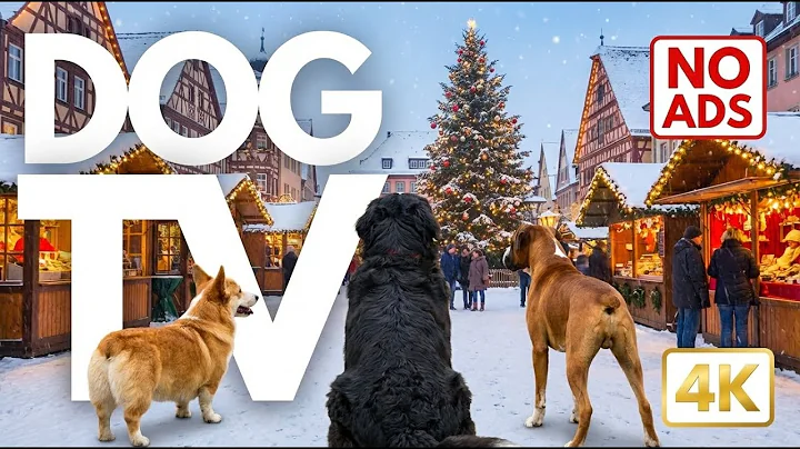 24 Hours Cozy Winter Dog Walk ❄️ Relaxing Christmas Music & Snowy Village POV