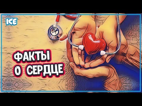 ИНТЕРЕСНЫЕ ФАКТЫ О СЕРДЦЕ ЧЕЛОВЕКА - Какое Сердце у Человека (работа сердце)