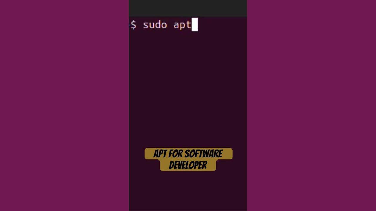 APT. for software developer -  ROSÉ & Bruno Mars - APT.