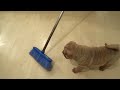 Middle of video