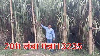 पुष्पेंद्र चौधरी का 20 फुट लंबा गन्ना13235 , मसूरी मवाना रोड#kissankisoch screenshot 3