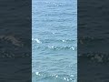 رقية حرق التابعة ام الصبيان الموروثة للسلالة الزوهرية وفصلها عن الجسد باذن الرحمان رقية حرق التابعة ام الصبيان الموروثة للسلالة الزوهرية وفصلها عن الجسد باذن الرحمان