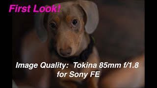 FIRST LOOK! Image Quality Tokina 85mm f/1.8 ATX-M for SONY FE