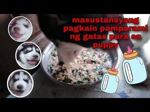 Video: Ang Pagdiyeta Ay Maaaring Pagbutihin Ang Mga Aso Ng Pakiramdam Ng Amoy - Mga Diet Sa Pagganap Para Sa Mga Deteksyon Ng Aso