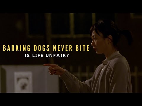 Understanding Barking Dogs Never Bite (2000) | Is Life Unfair?