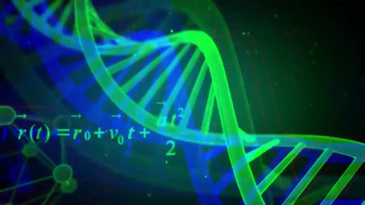 onepointsix - interval 01 | polygon network [NW0004]  | visuals by carrie favretto.