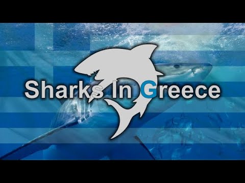Καρχαρίες των ελληνικών