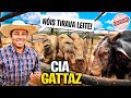 HISTÓRIA  COMO COMEÇOU A CIA DE RODEIO GATTAZ